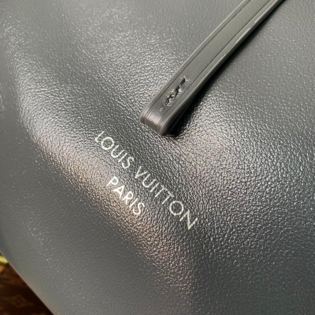 Louis Vuitton 精緻版肩背包 百搭新款 都會輕奢風格