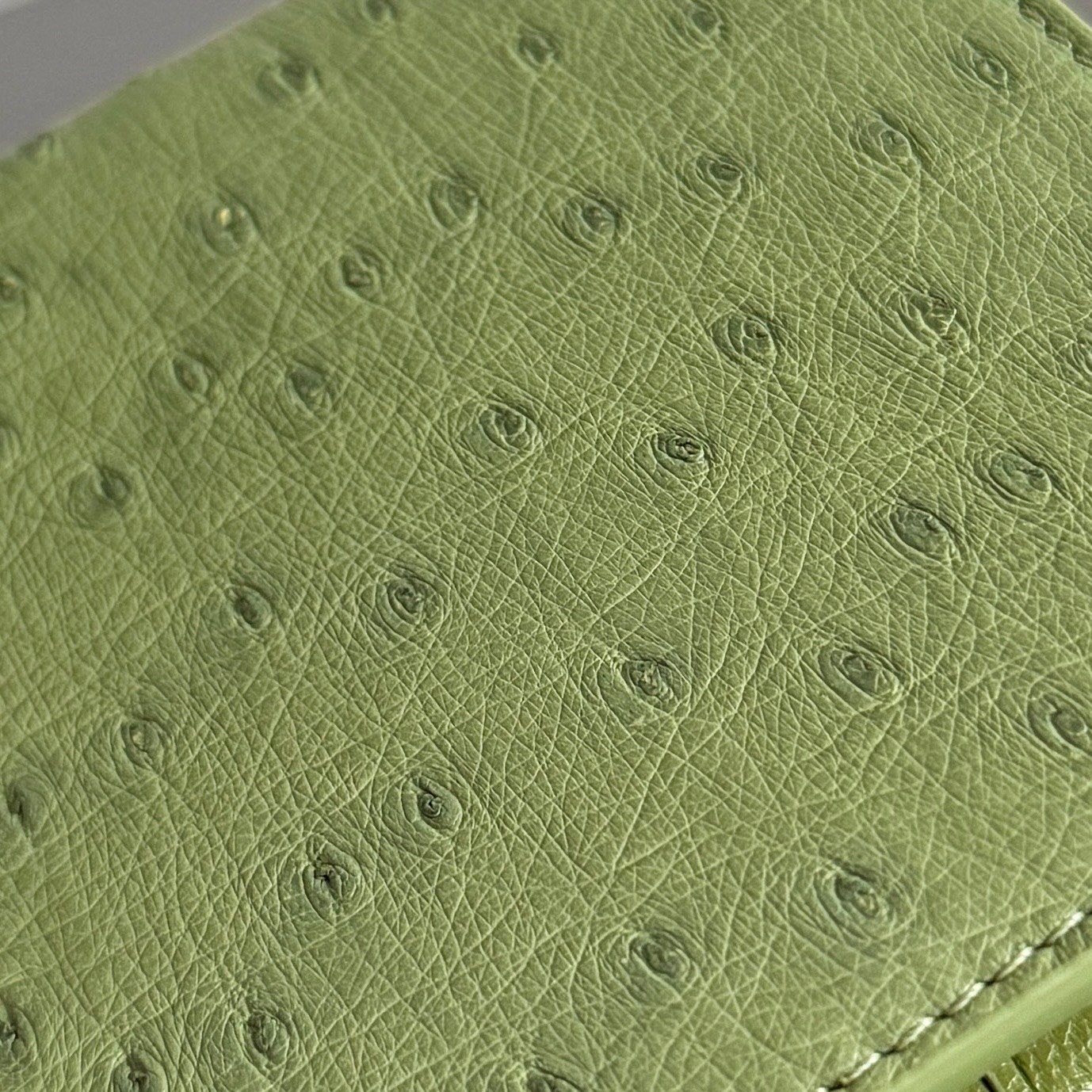 BOTTEGA VENETA 男士短夾 精緻版 2026 鴕鳥皮紋理錢包 品質細緻耐用 奢華風格皮革設計 輕巧收納 百搭質感男用皮夾 都會輕奢